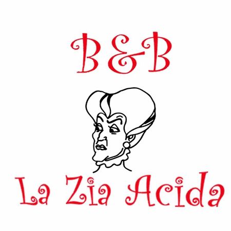 La Zia Acida Bed and Breakfast Ca Tiepolo Εξωτερικό φωτογραφία